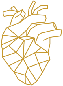 Geometric representation of a human heart